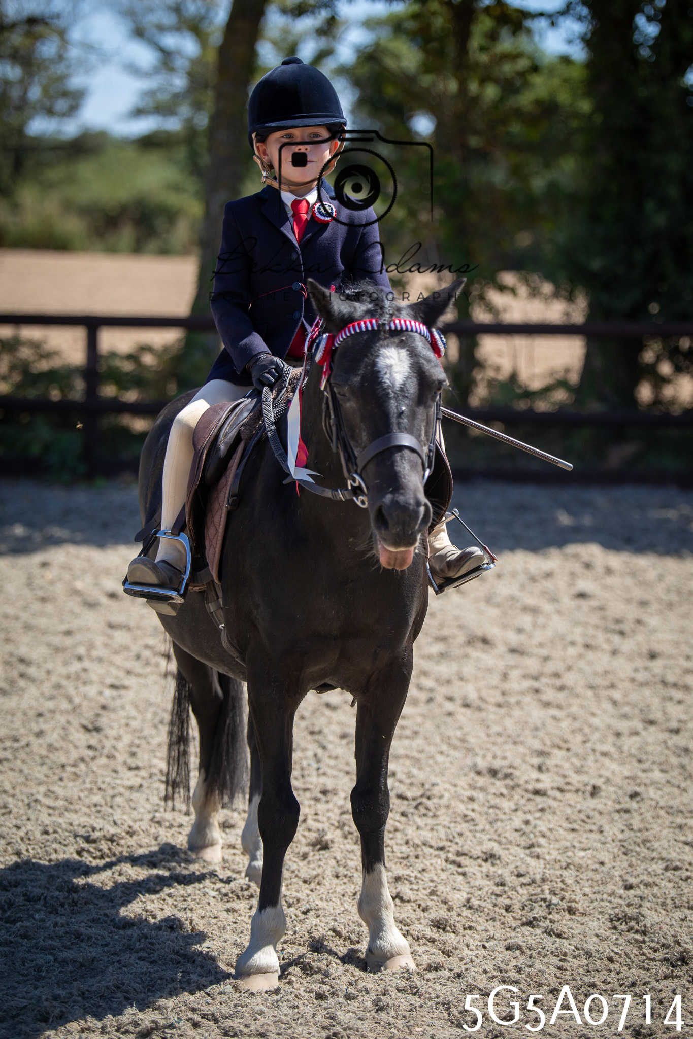 St Lawrence Charity Horse Show - Saturday pt1
