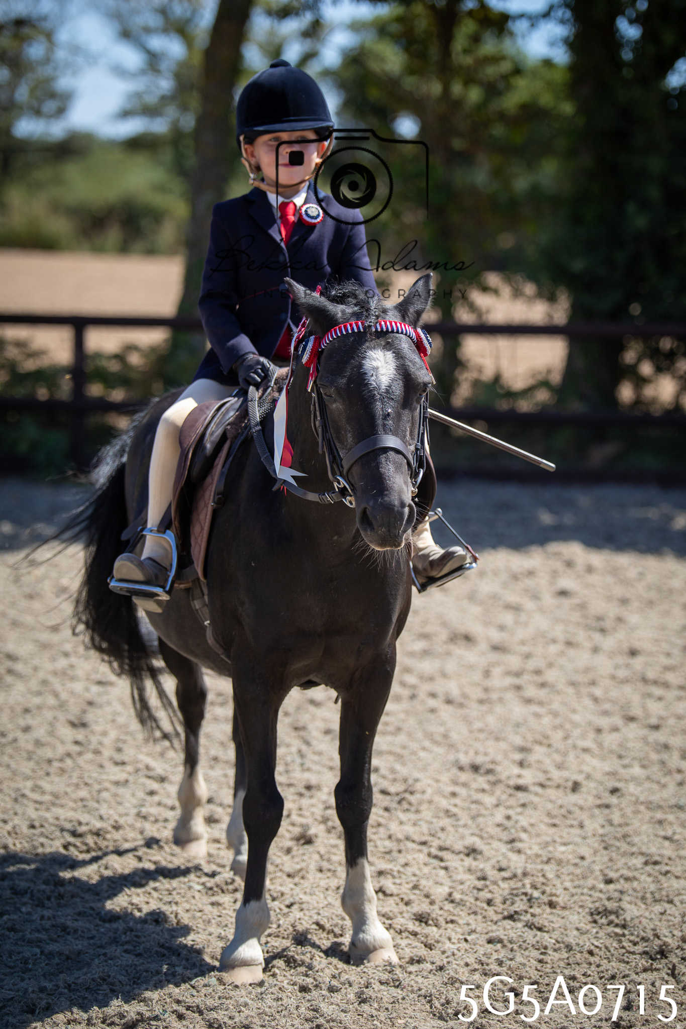 St Lawrence Charity Horse Show - Saturday pt1