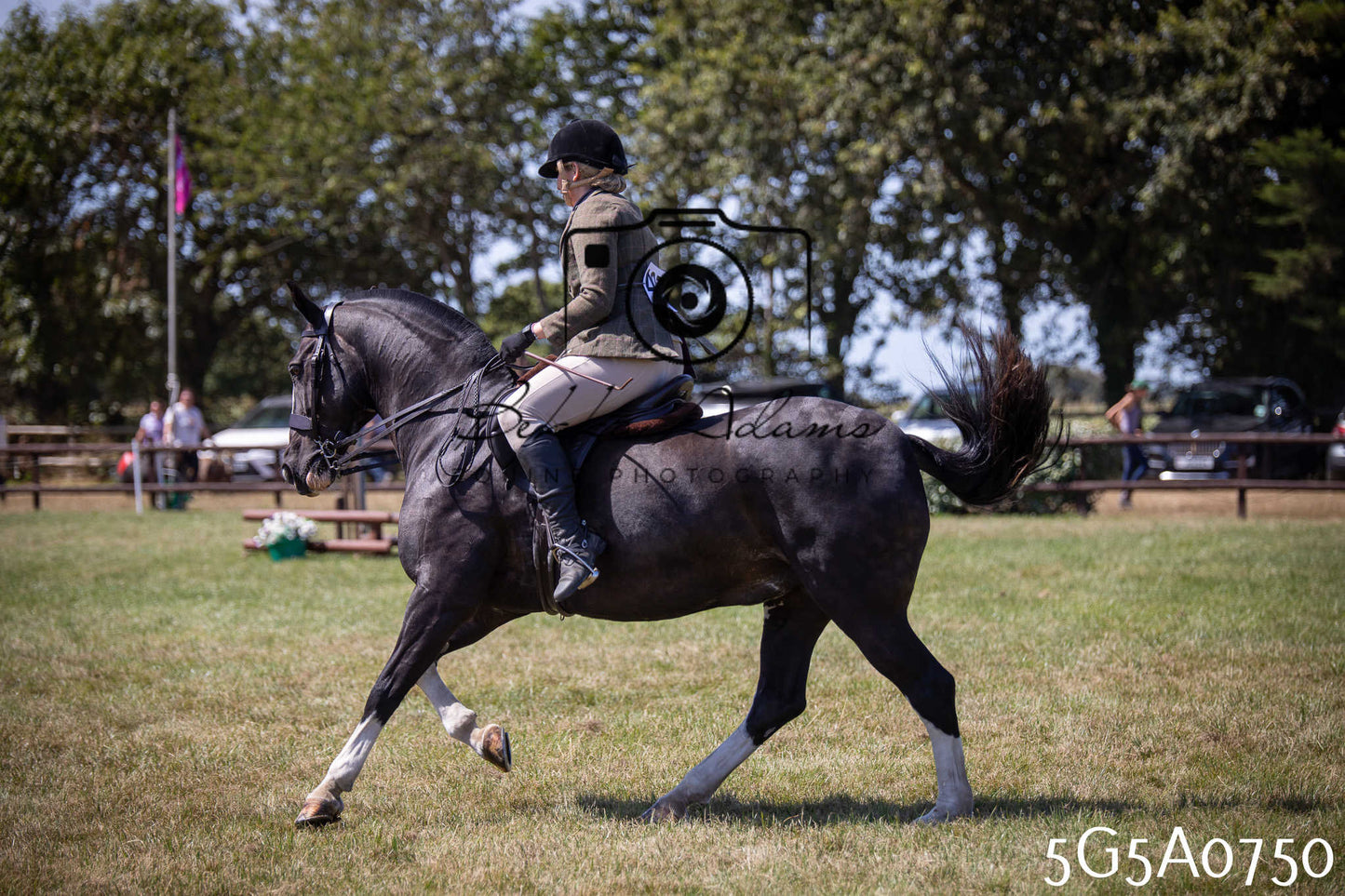 St Lawrence Charity Horse Show - Saturday pt1