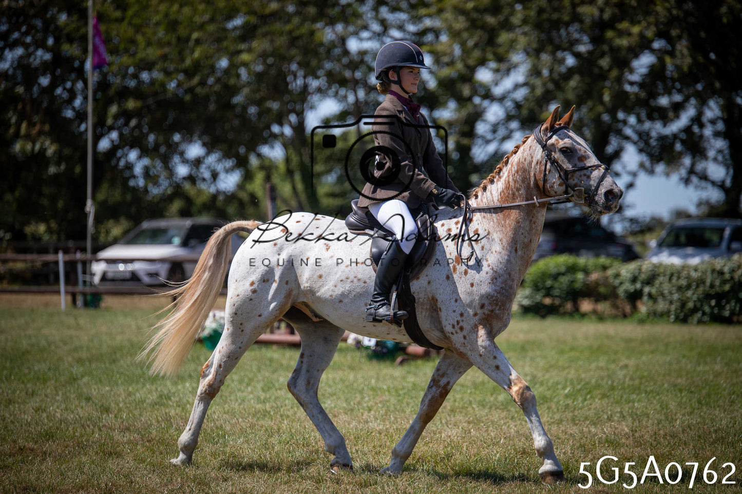 St Lawrence Charity Horse Show - Saturday pt1