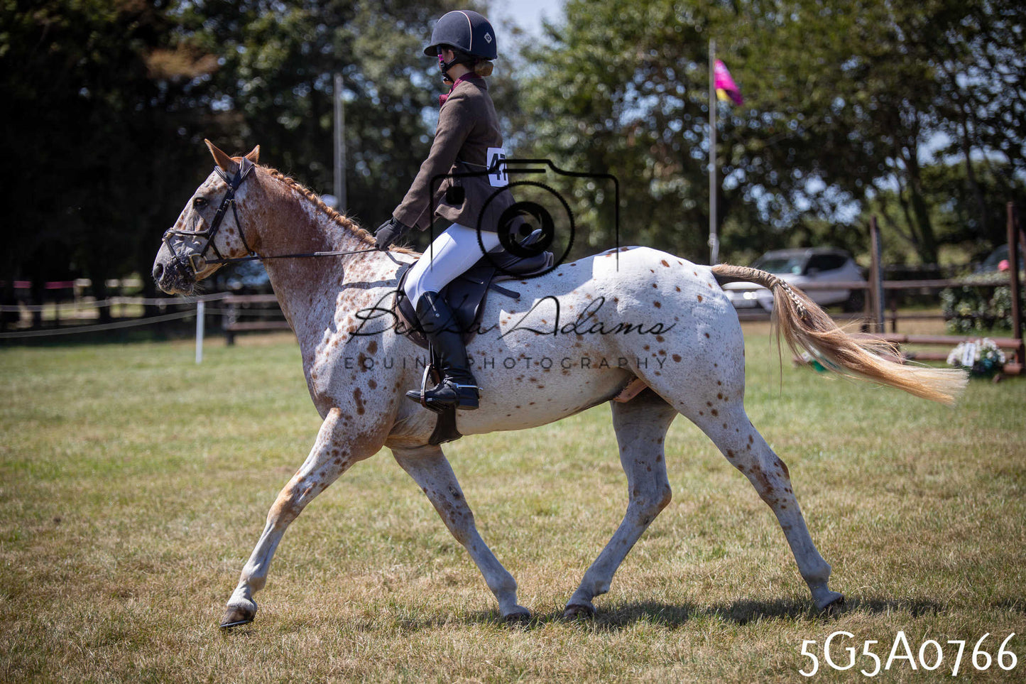 St Lawrence Charity Horse Show - Saturday pt1