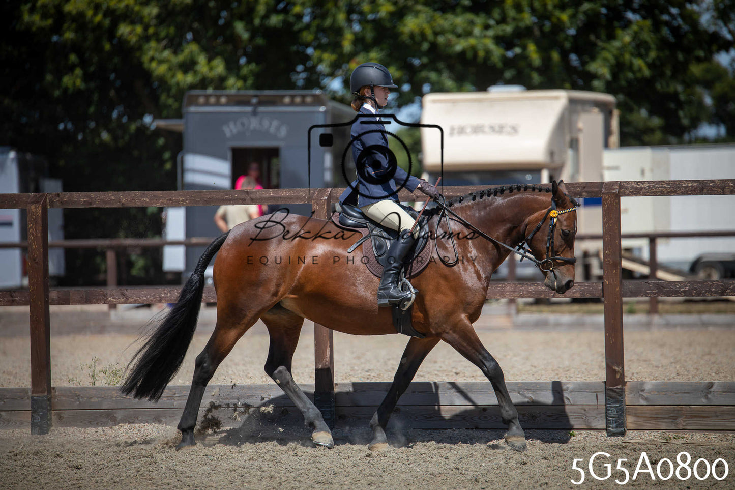 St Lawrence Charity Horse Show - Saturday pt1