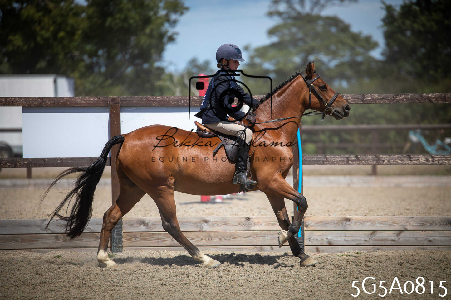 St Lawrence Charity Horse Show - Saturday pt1