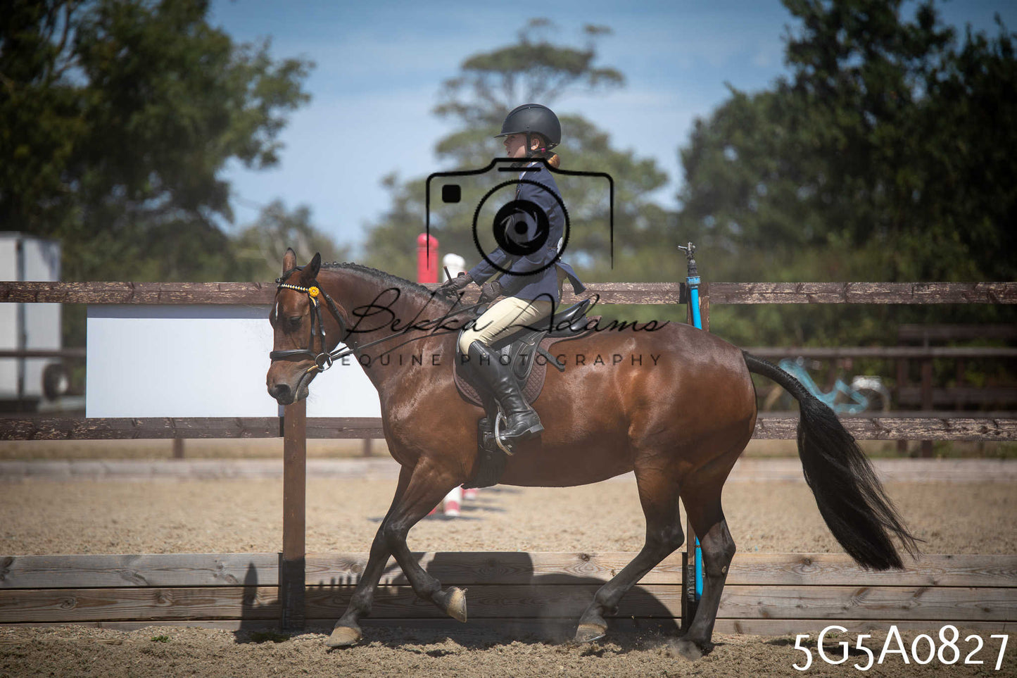 St Lawrence Charity Horse Show - Saturday pt2