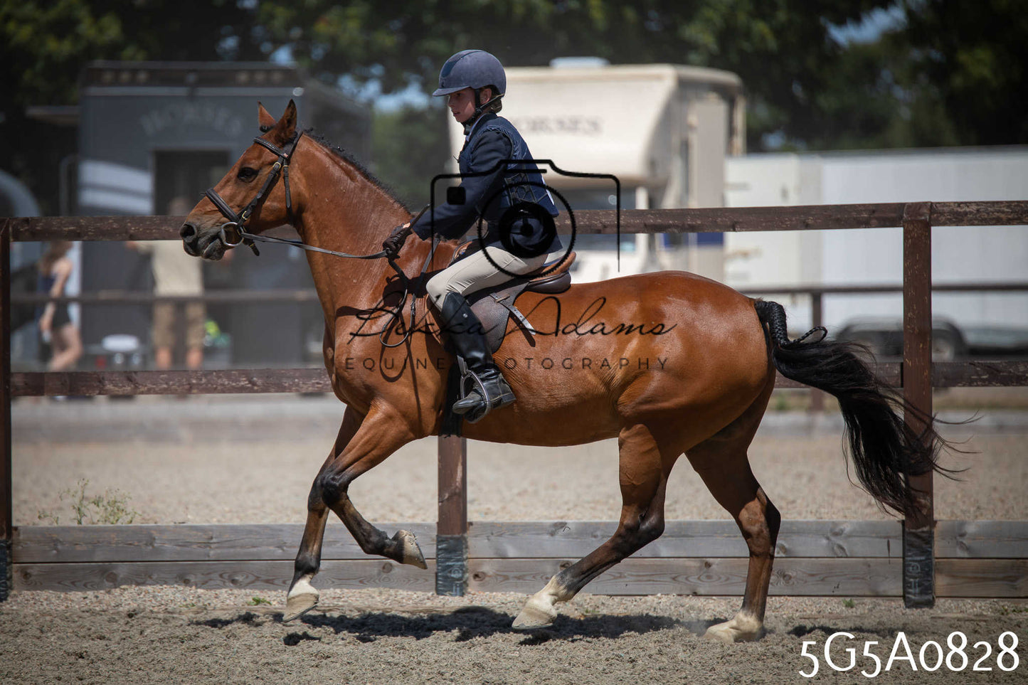 St Lawrence Charity Horse Show - Saturday pt2