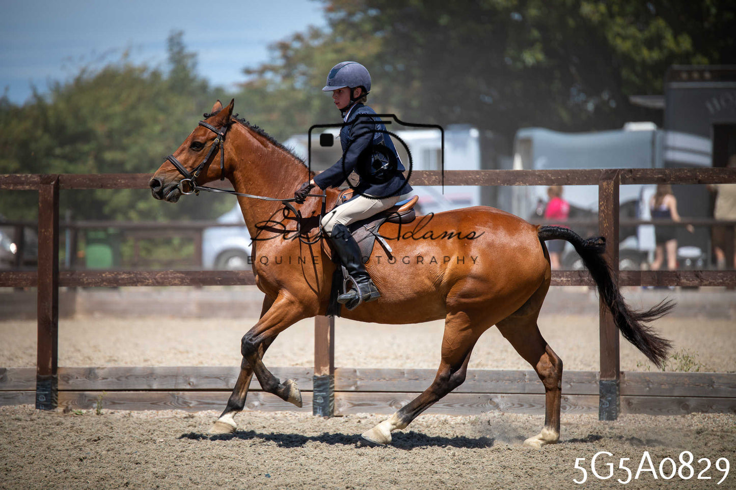 St Lawrence Charity Horse Show - Saturday pt2