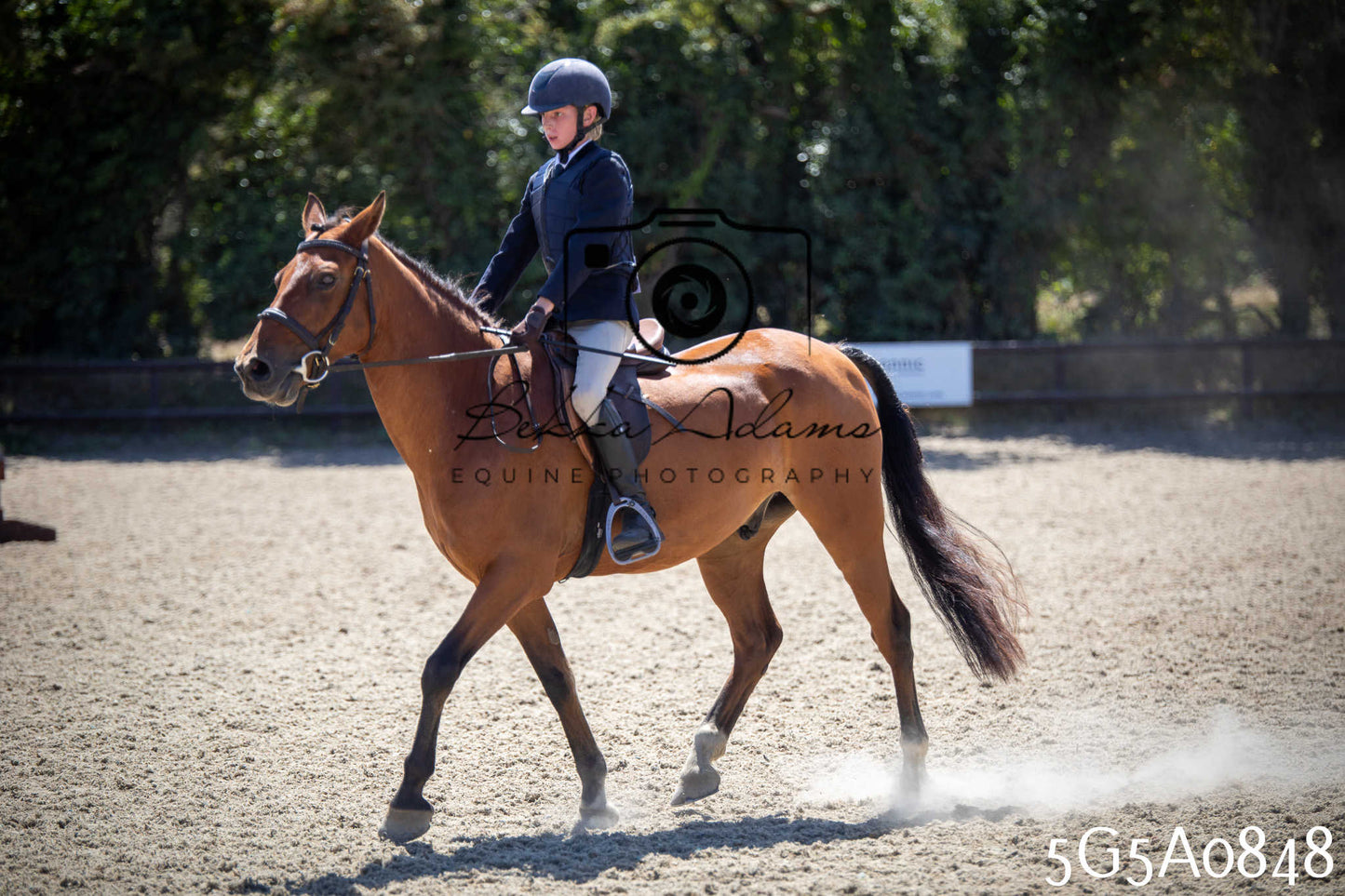 St Lawrence Charity Horse Show - Saturday pt2