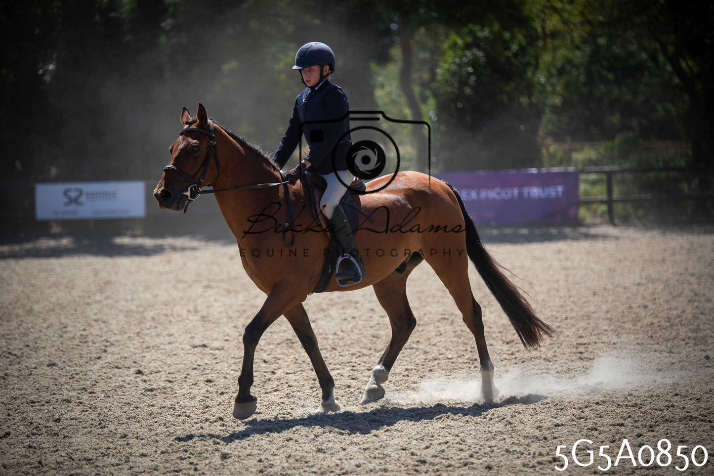 St Lawrence Charity Horse Show - Saturday pt2