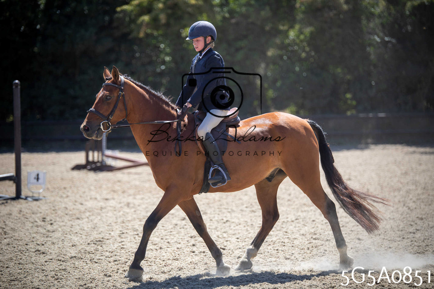 St Lawrence Charity Horse Show - Saturday pt2