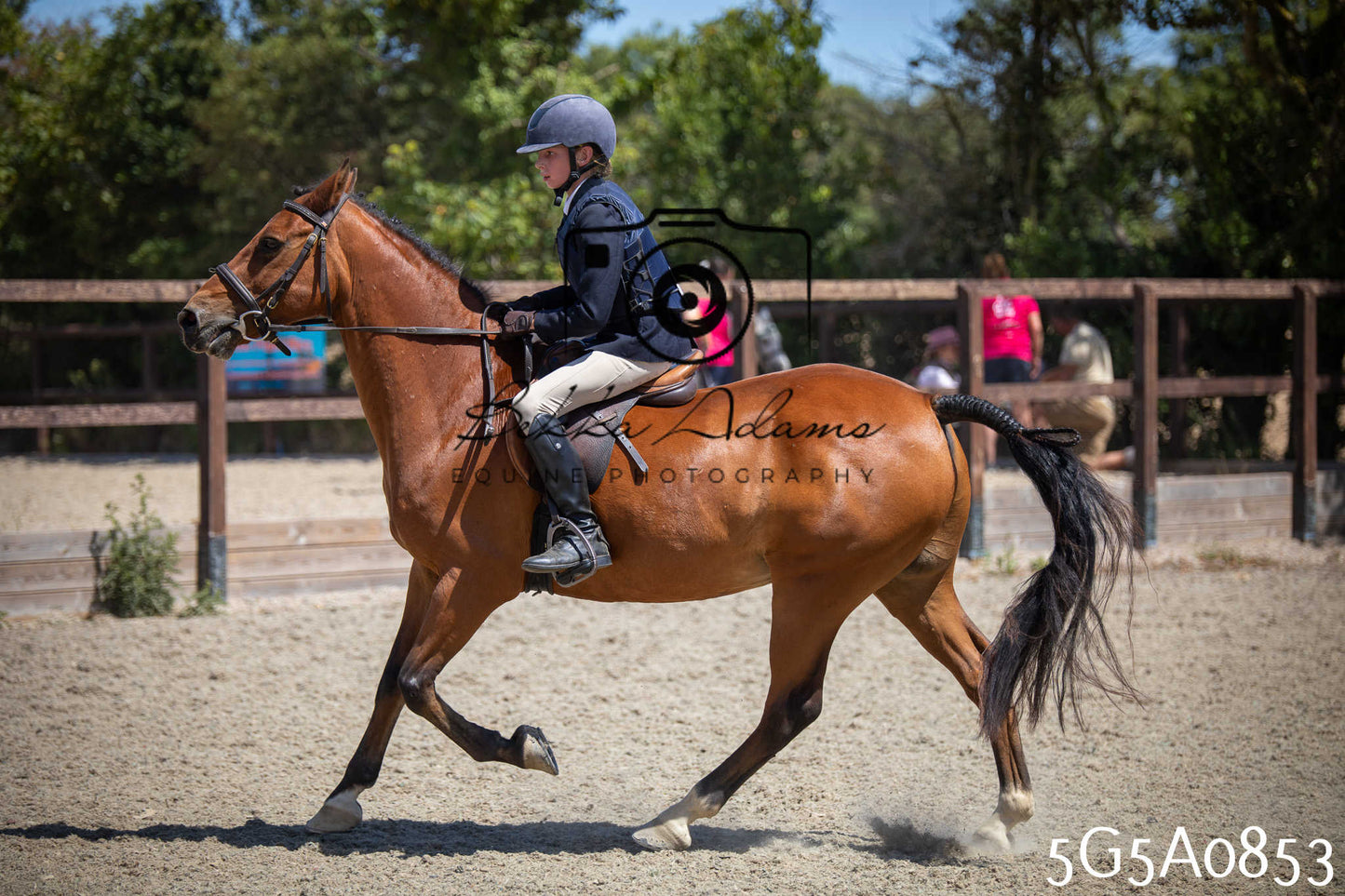 St Lawrence Charity Horse Show - Saturday pt2