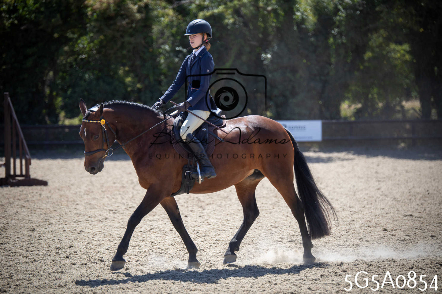 St Lawrence Charity Horse Show - Saturday pt2