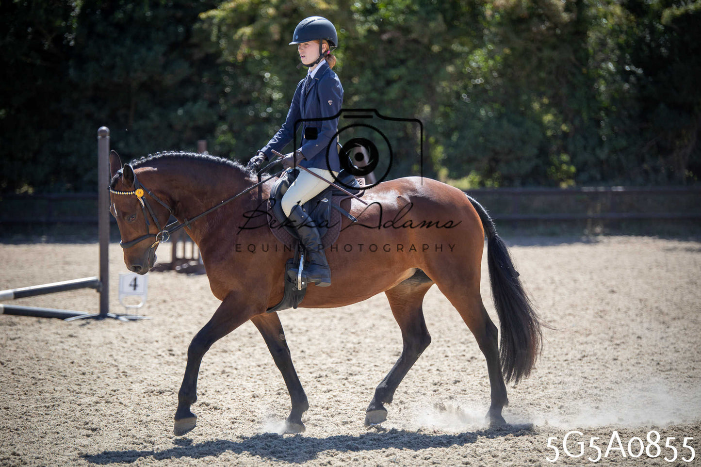 St Lawrence Charity Horse Show - Saturday pt2
