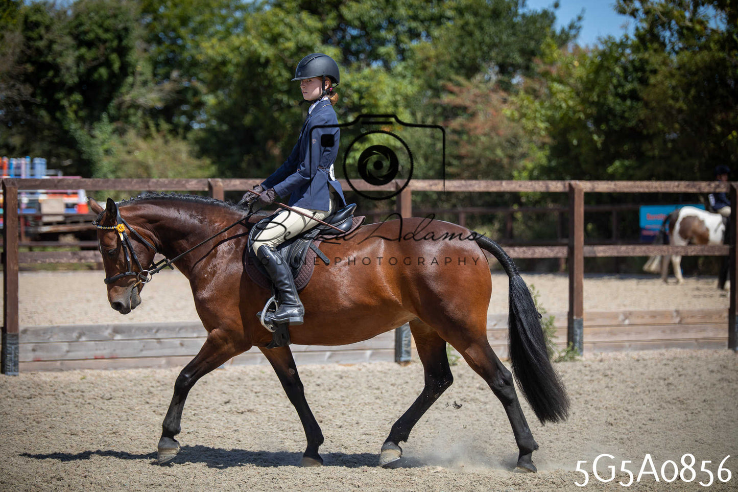 St Lawrence Charity Horse Show - Saturday pt2