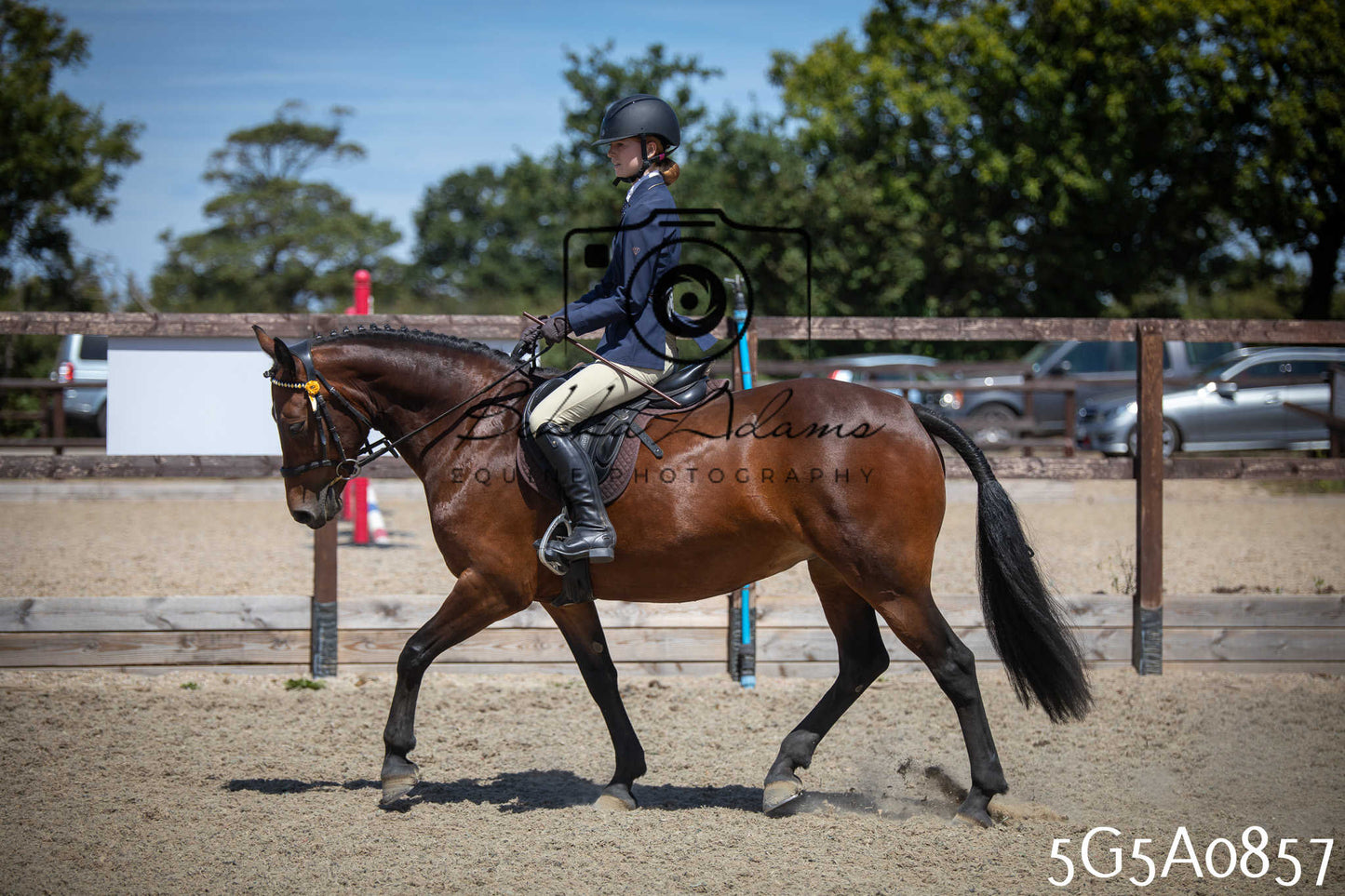 St Lawrence Charity Horse Show - Saturday pt2