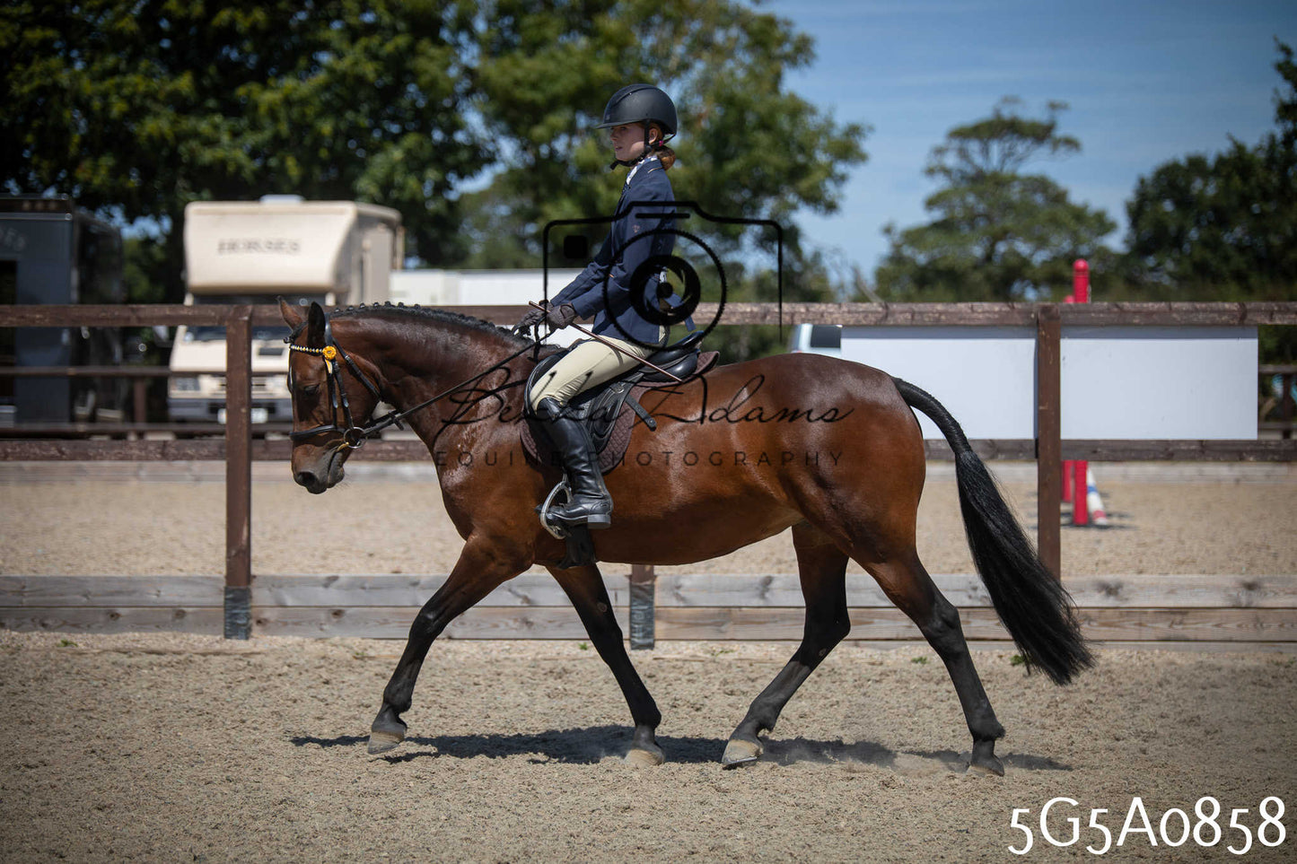 St Lawrence Charity Horse Show - Saturday pt2