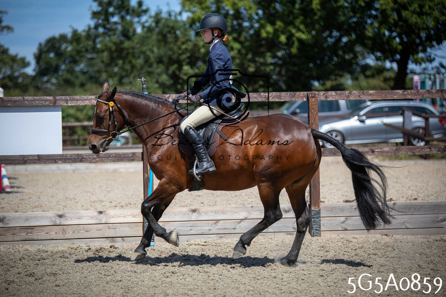 St Lawrence Charity Horse Show - Saturday pt2