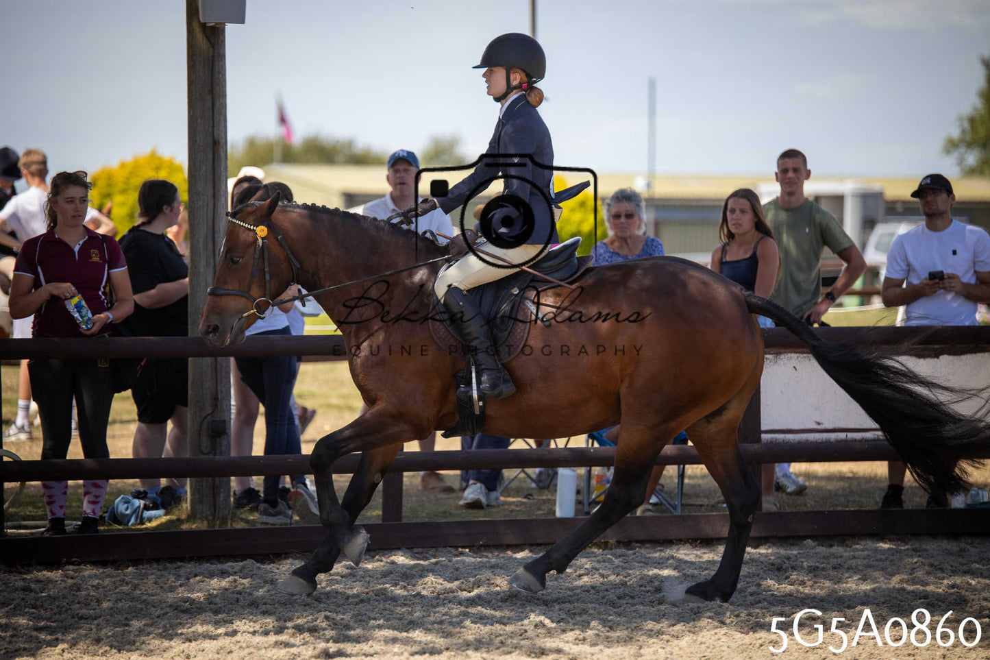 St Lawrence Charity Horse Show - Saturday pt2