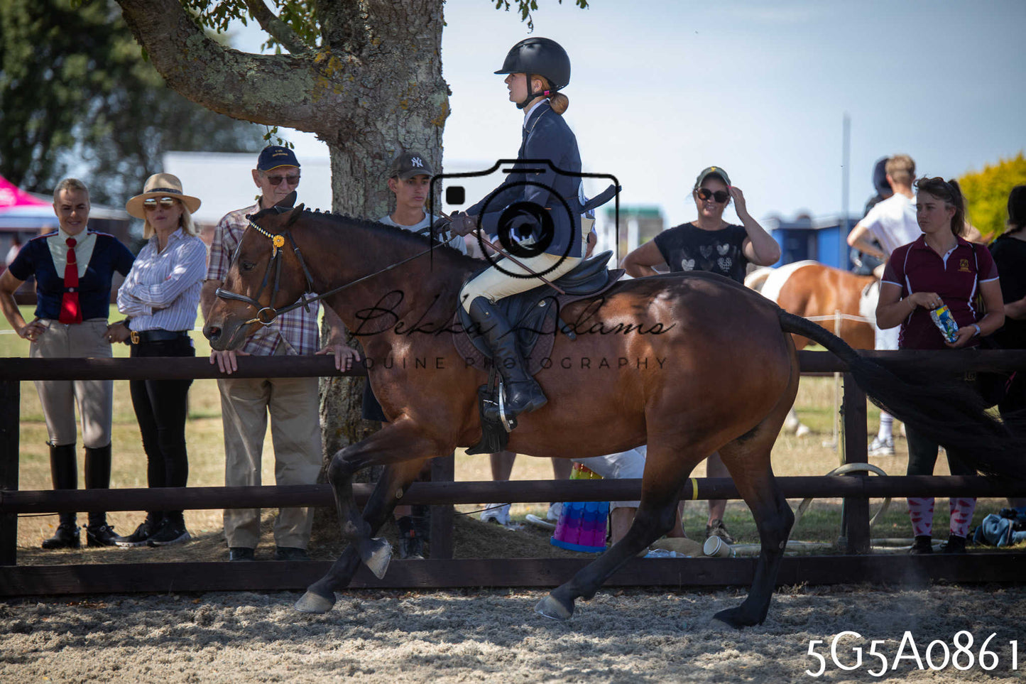 St Lawrence Charity Horse Show - Saturday pt2