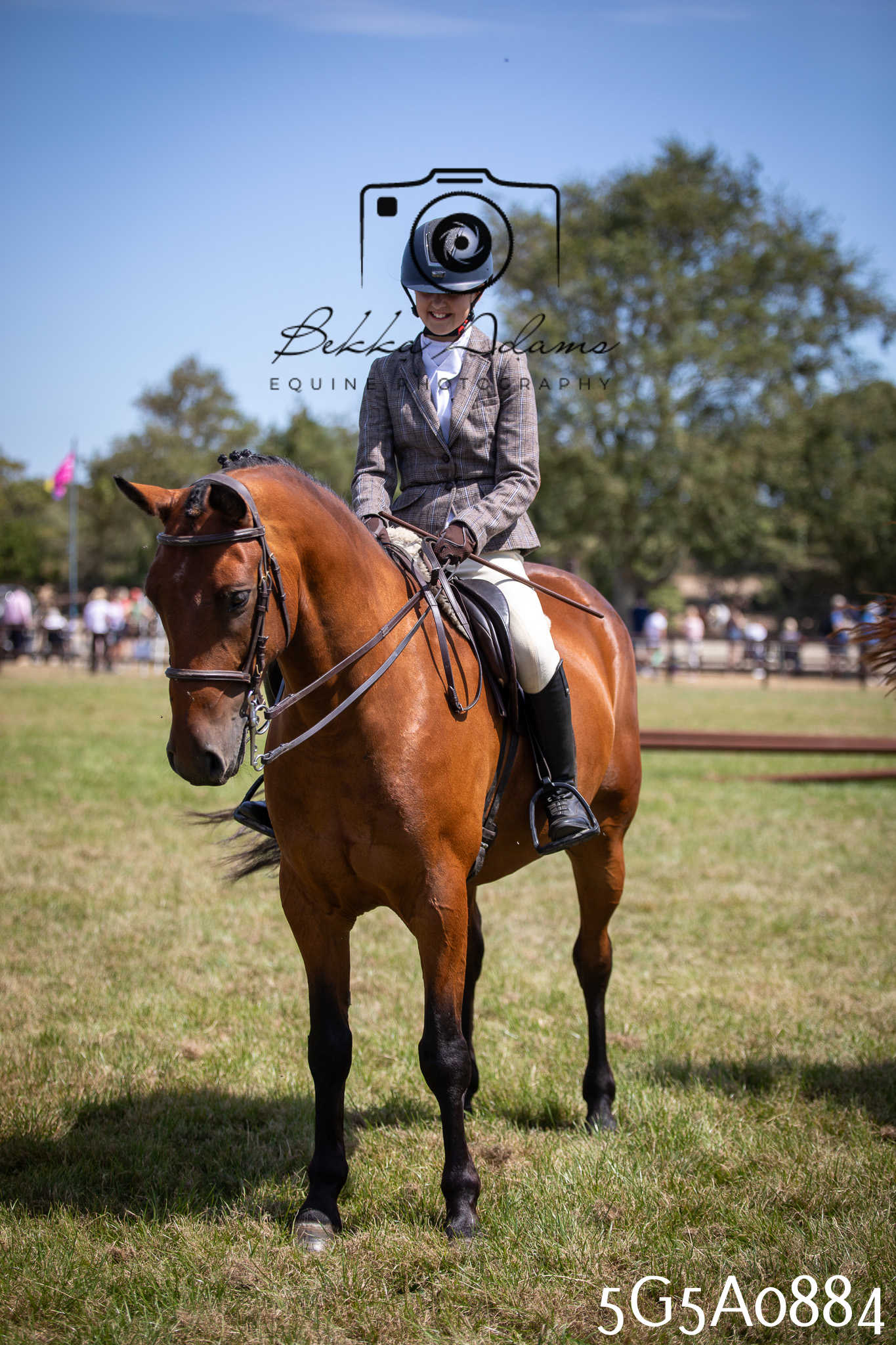 St Lawrence Charity Horse Show - Saturday pt2