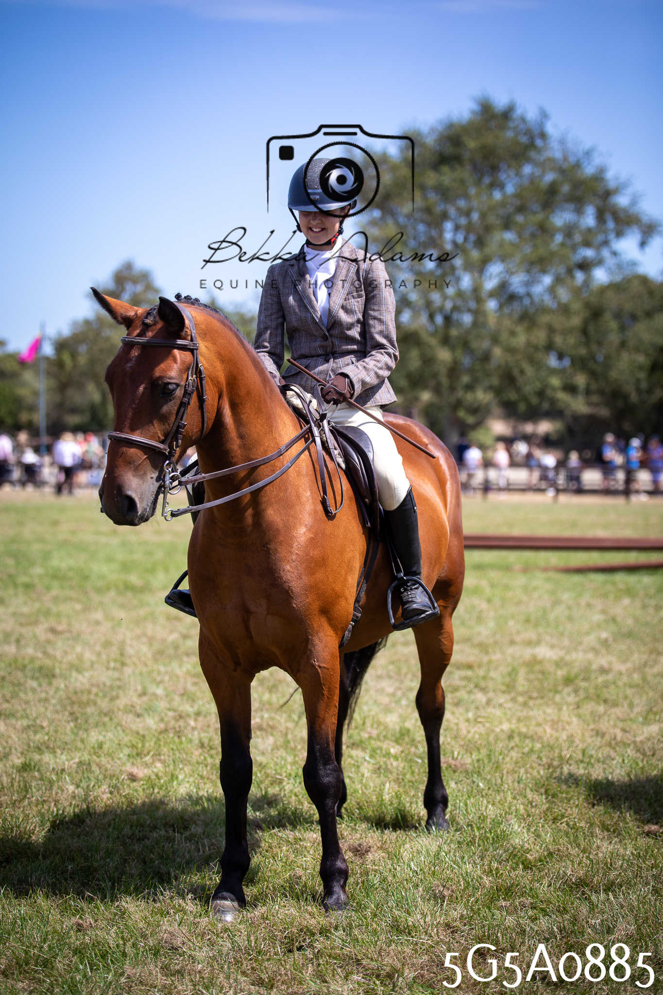 St Lawrence Charity Horse Show - Saturday pt2
