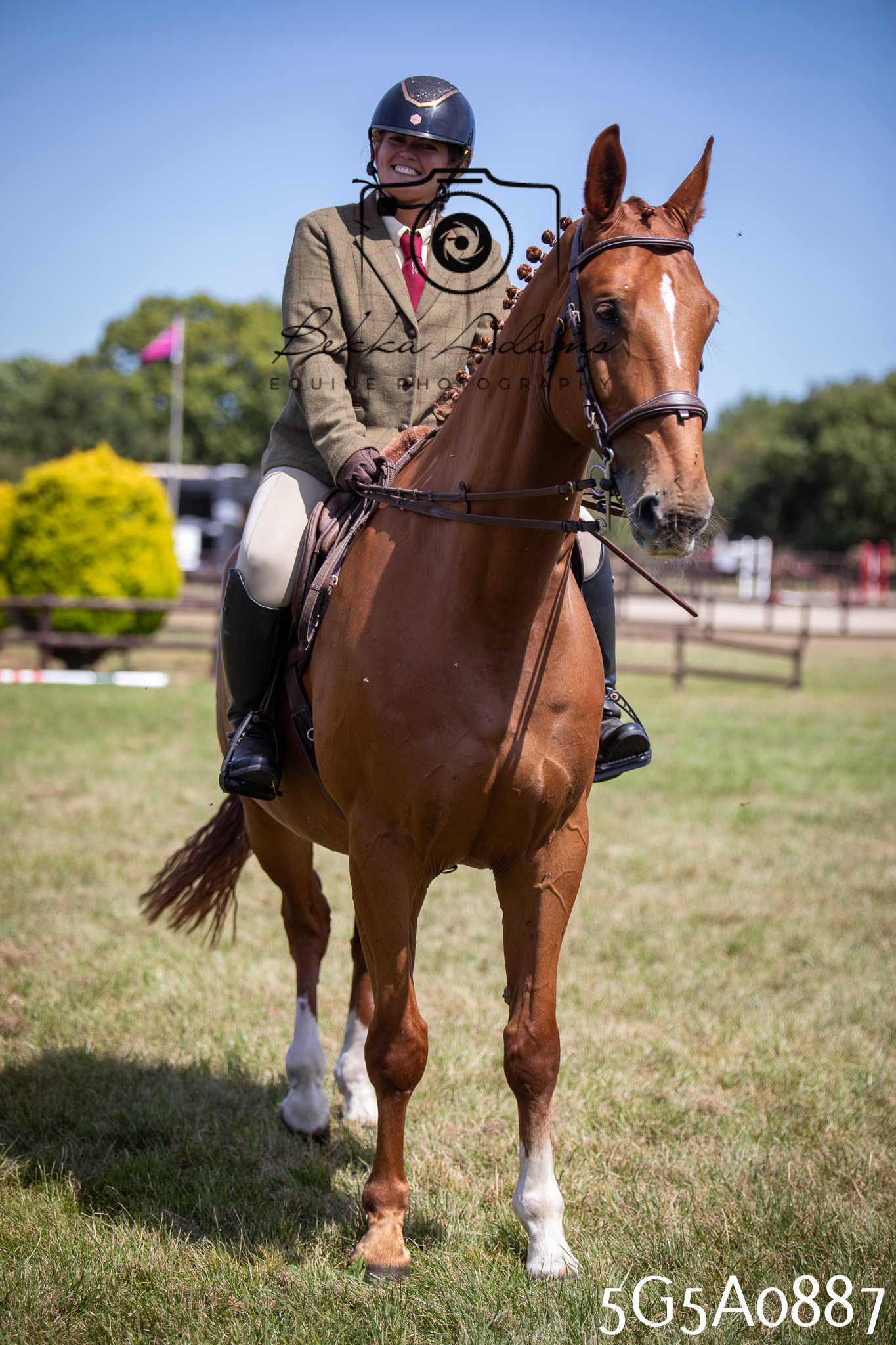 St Lawrence Charity Horse Show - Saturday pt2