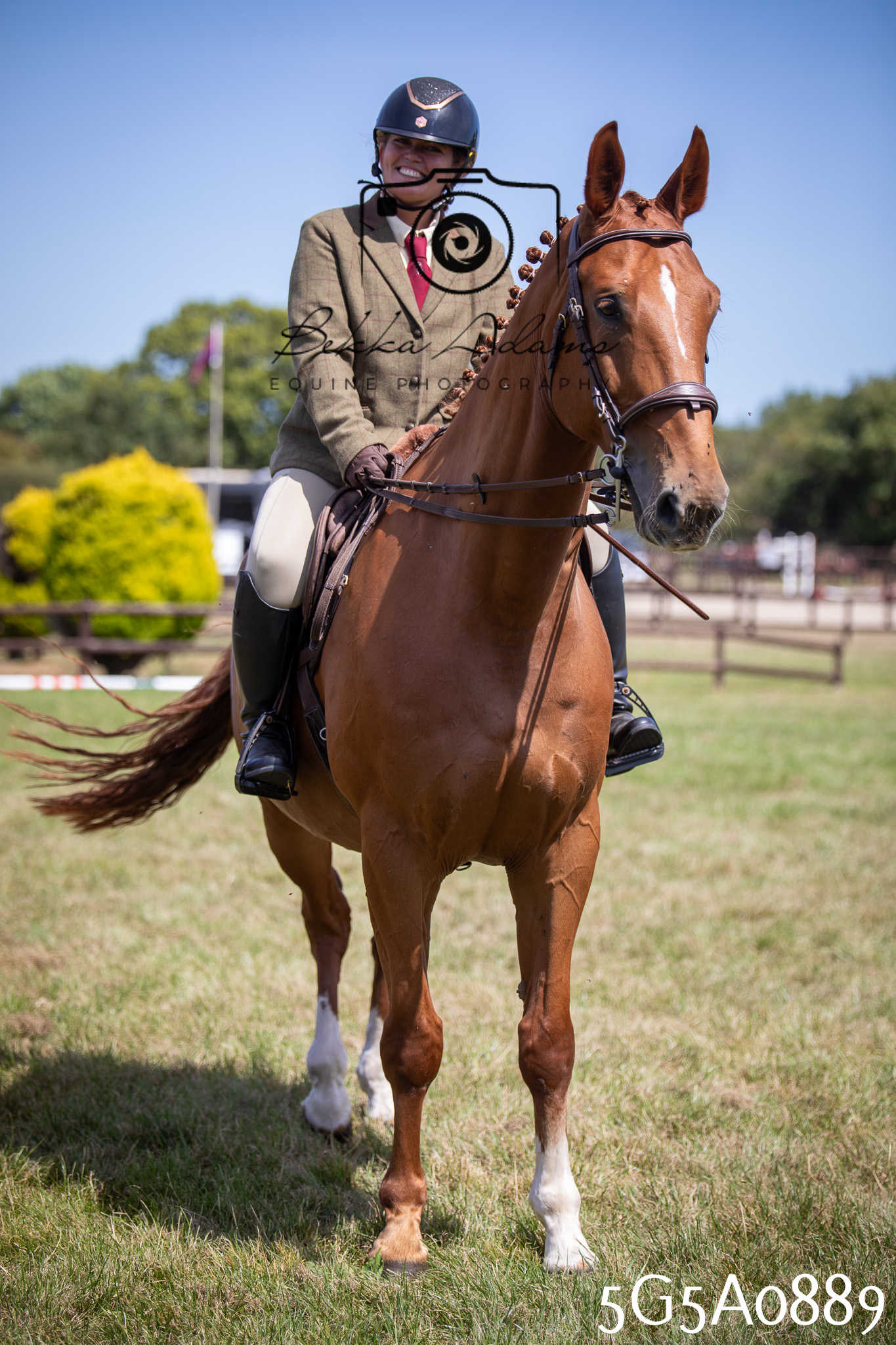 St Lawrence Charity Horse Show - Saturday pt2