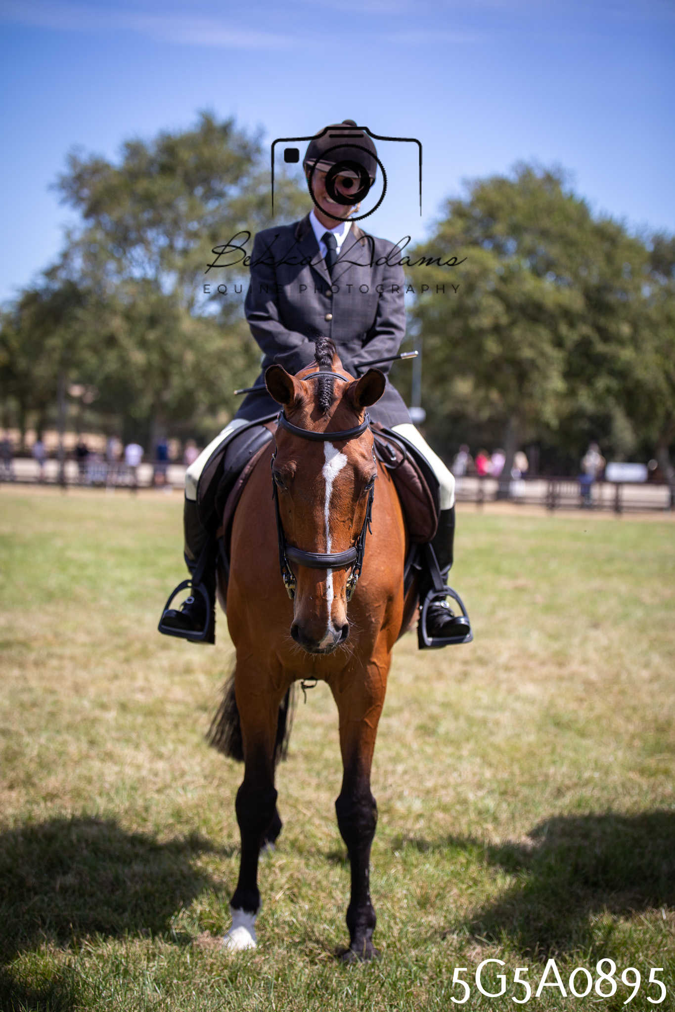 St Lawrence Charity Horse Show - Saturday pt2