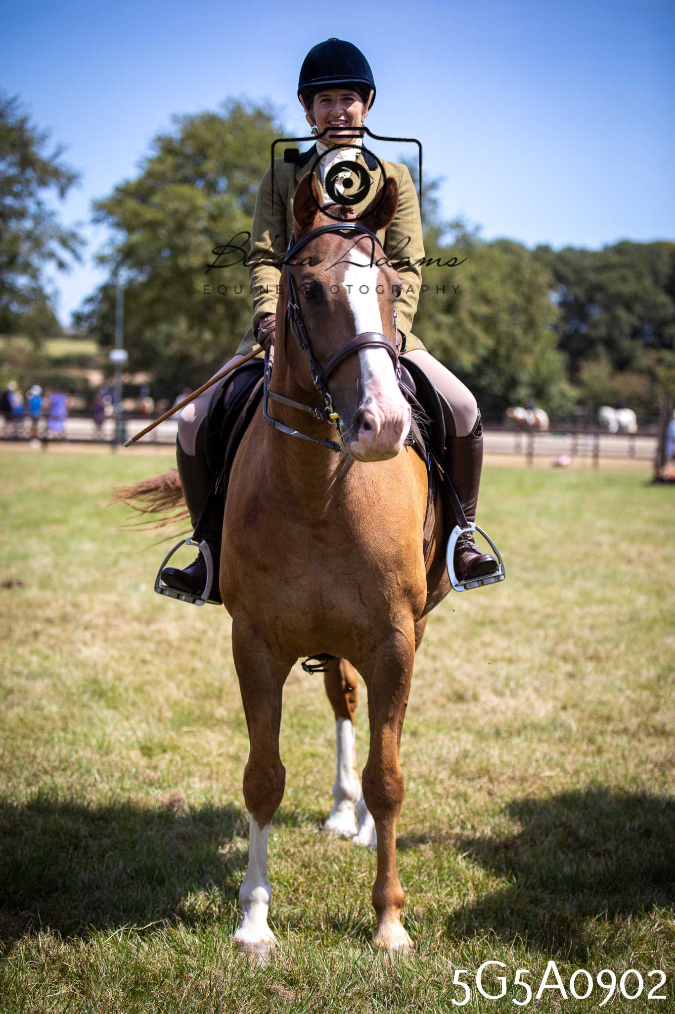 St Lawrence Charity Horse Show - Saturday pt2