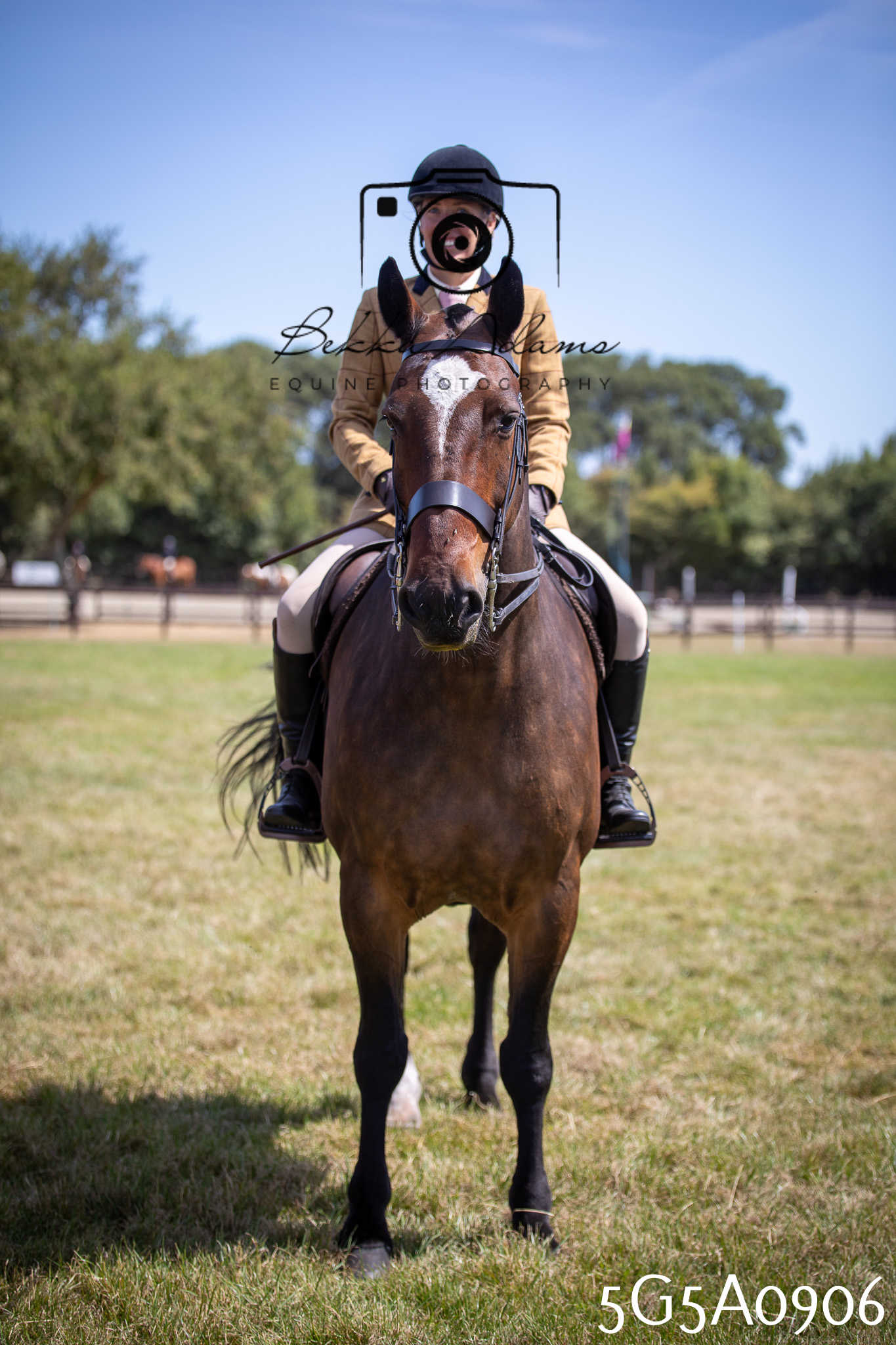 St Lawrence Charity Horse Show - Saturday pt2