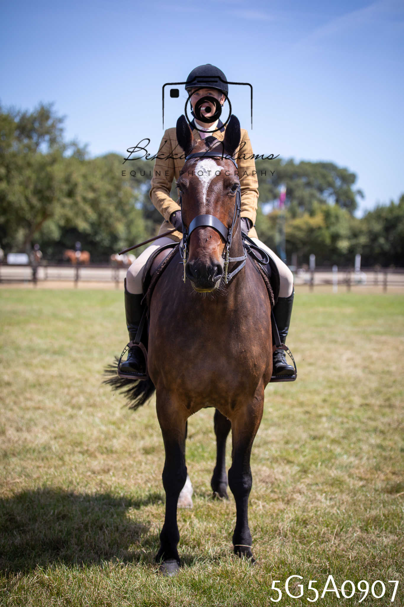 St Lawrence Charity Horse Show - Saturday pt2
