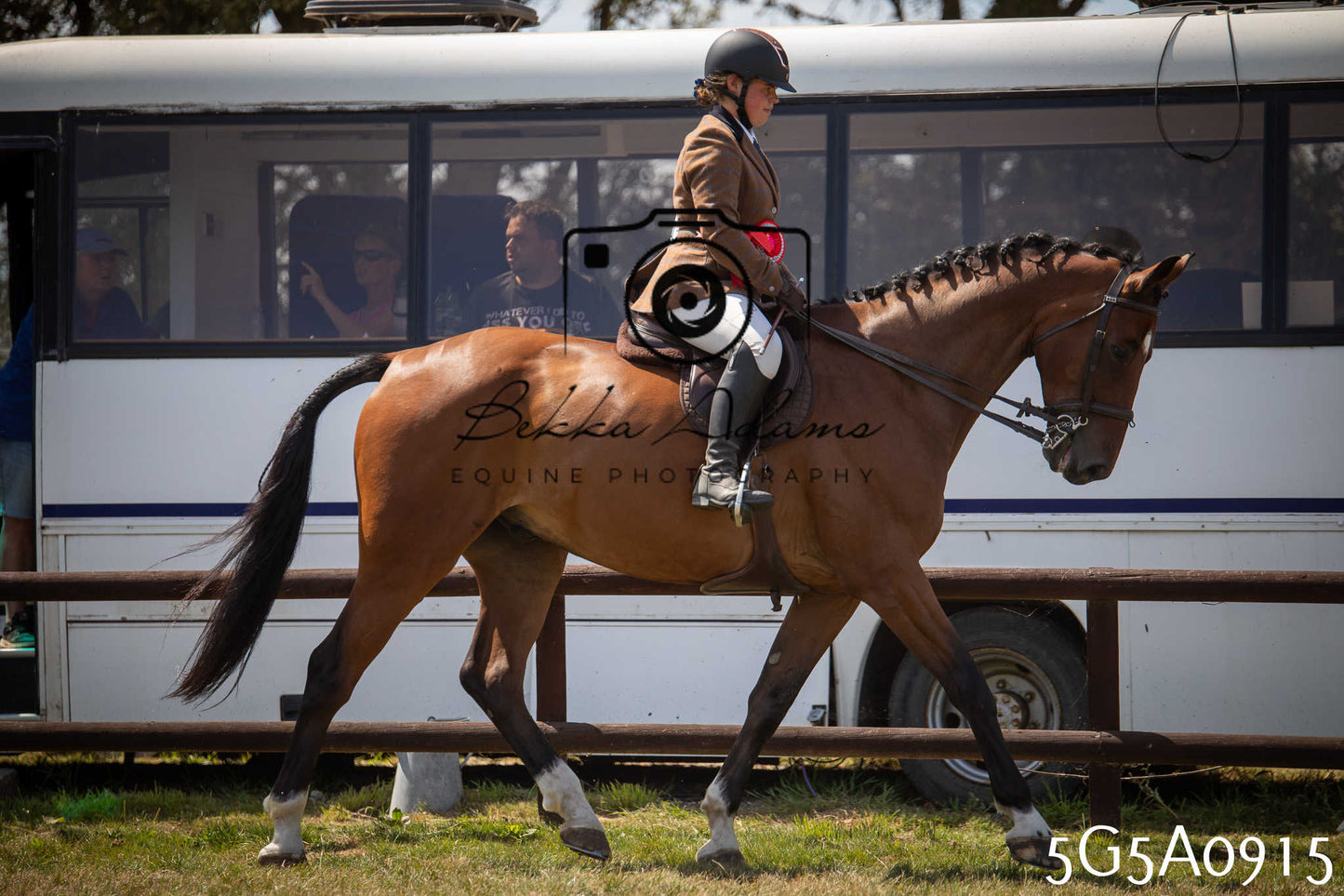 St Lawrence Charity Horse Show - Saturday pt2