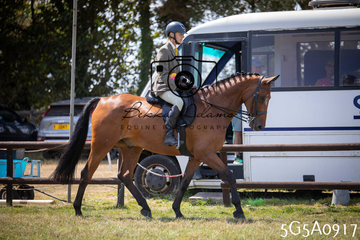 St Lawrence Charity Horse Show - Saturday pt2
