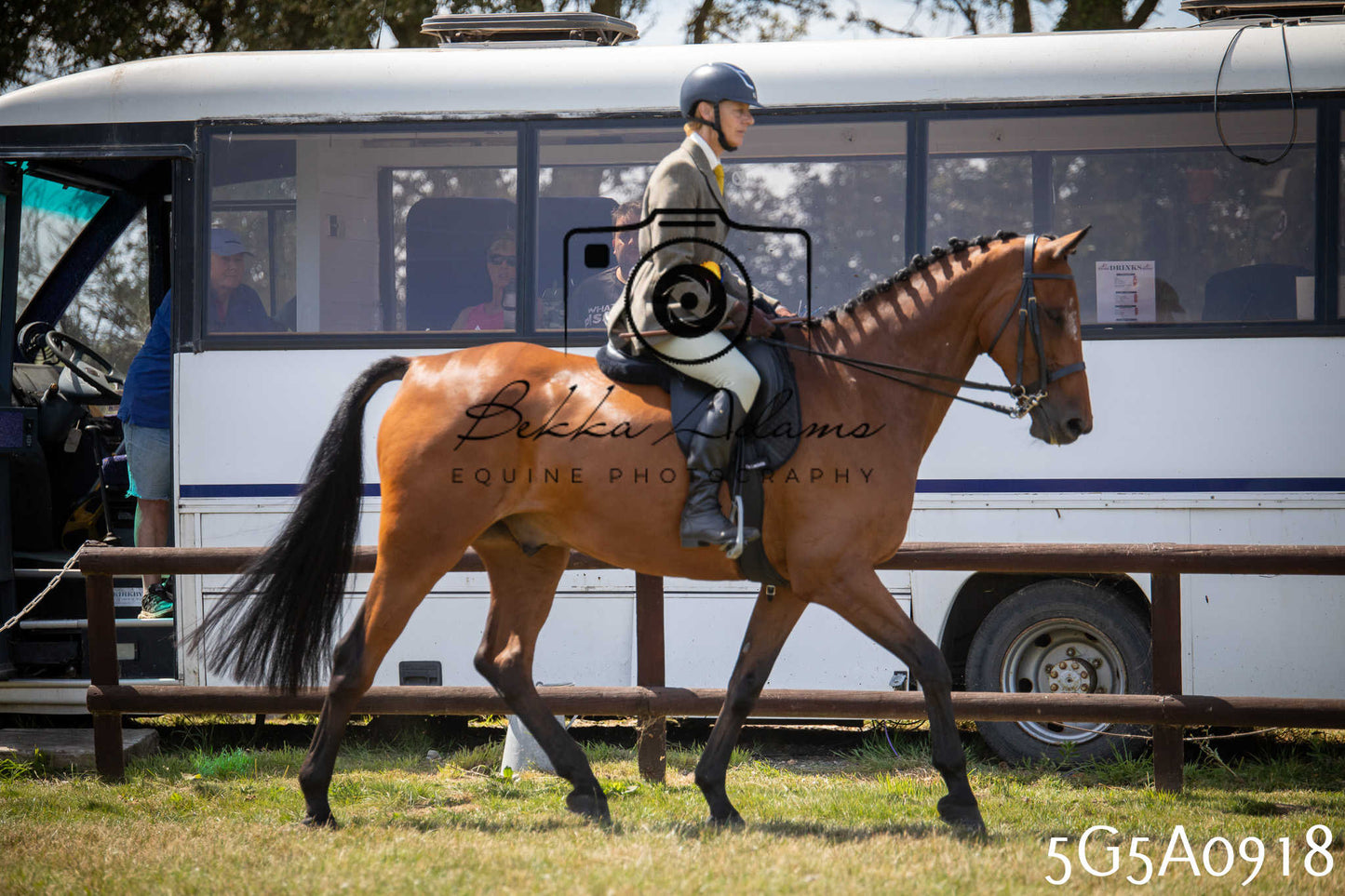 St Lawrence Charity Horse Show - Saturday pt2