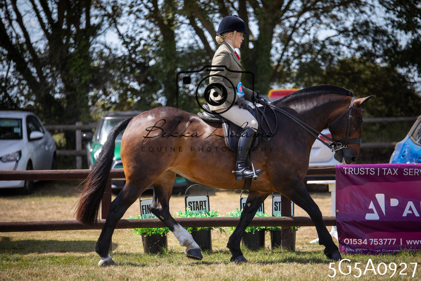 St Lawrence Charity Horse Show - Saturday pt2