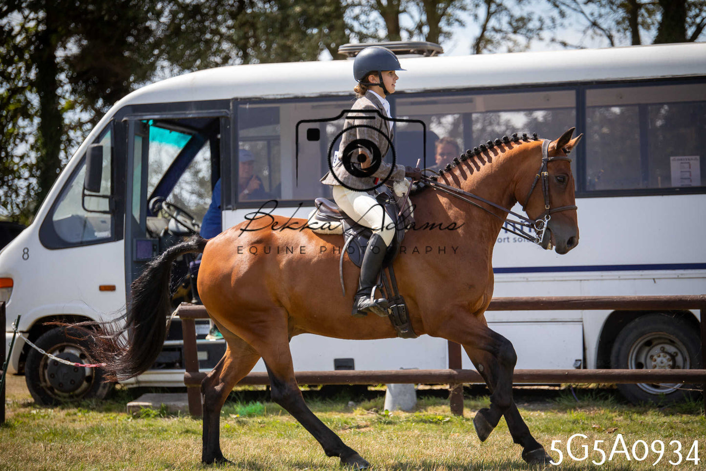 St Lawrence Charity Horse Show - Saturday pt2