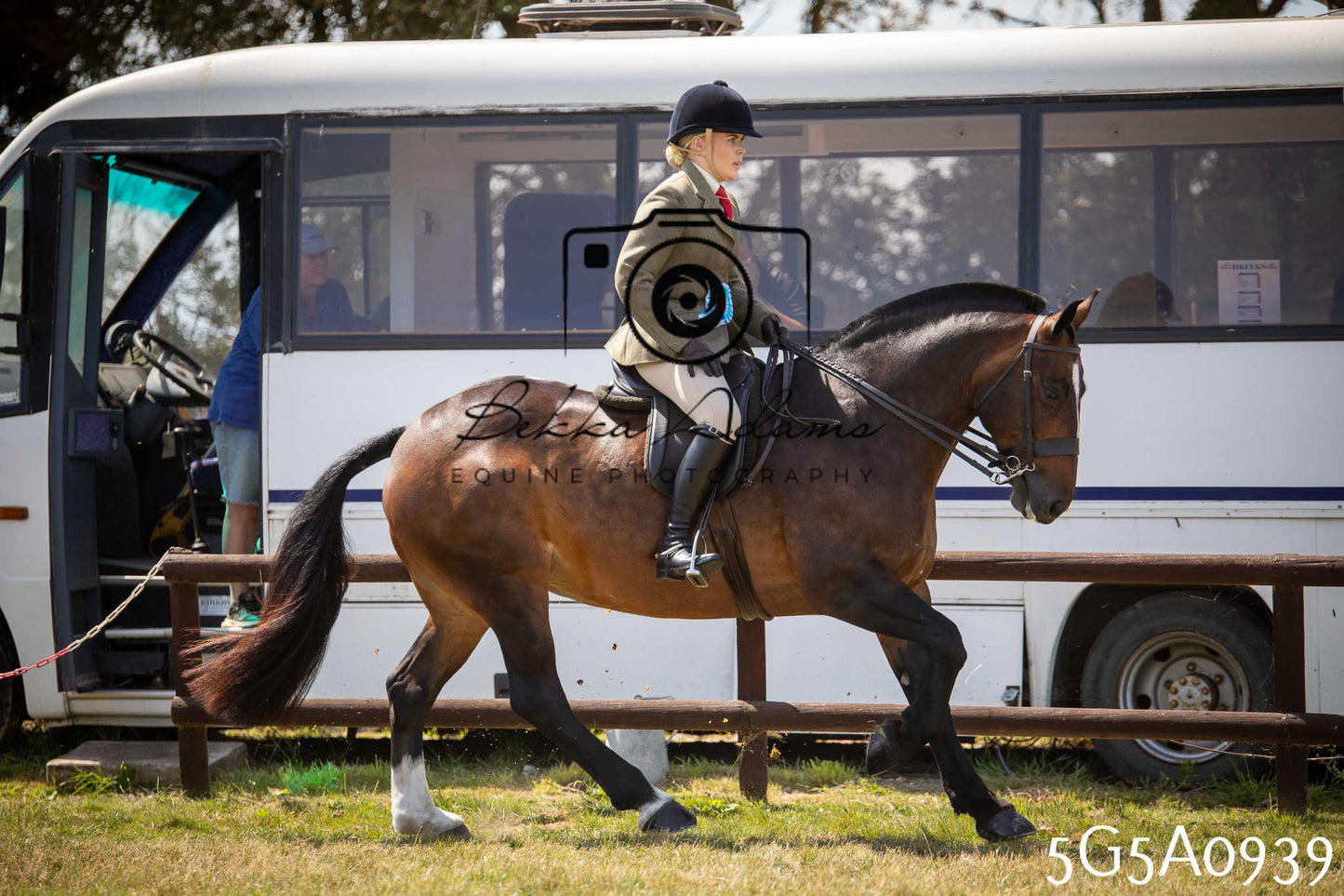St Lawrence Charity Horse Show - Saturday pt2