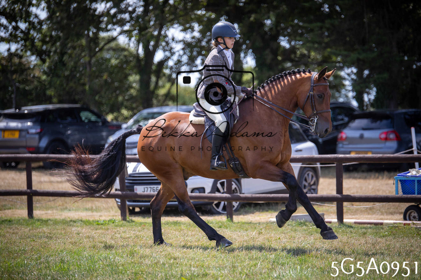 St Lawrence Charity Horse Show - Saturday pt2