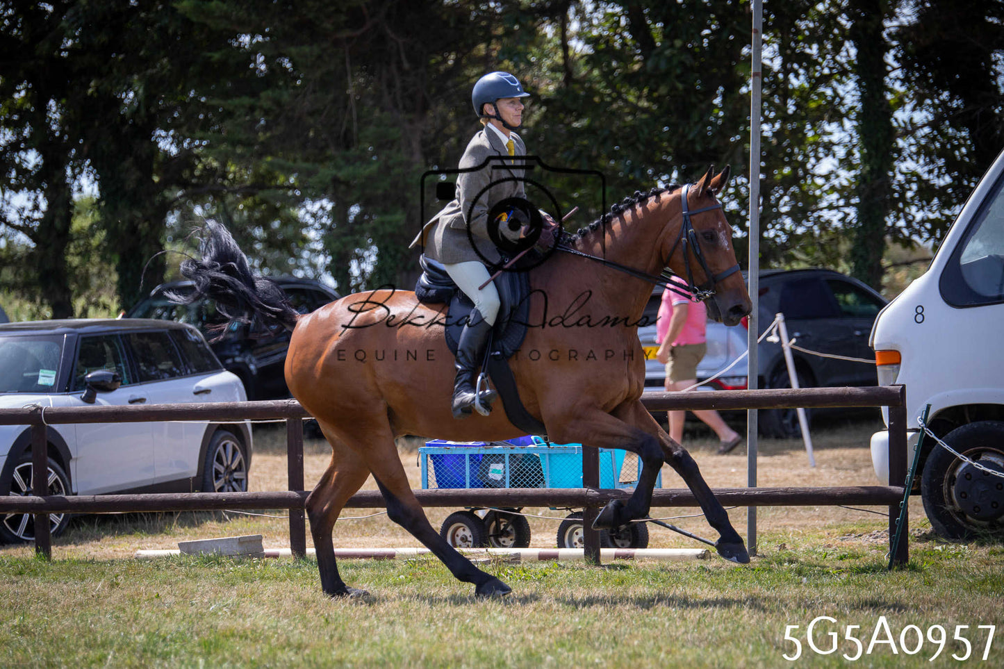 St Lawrence Charity Horse Show - Saturday pt2