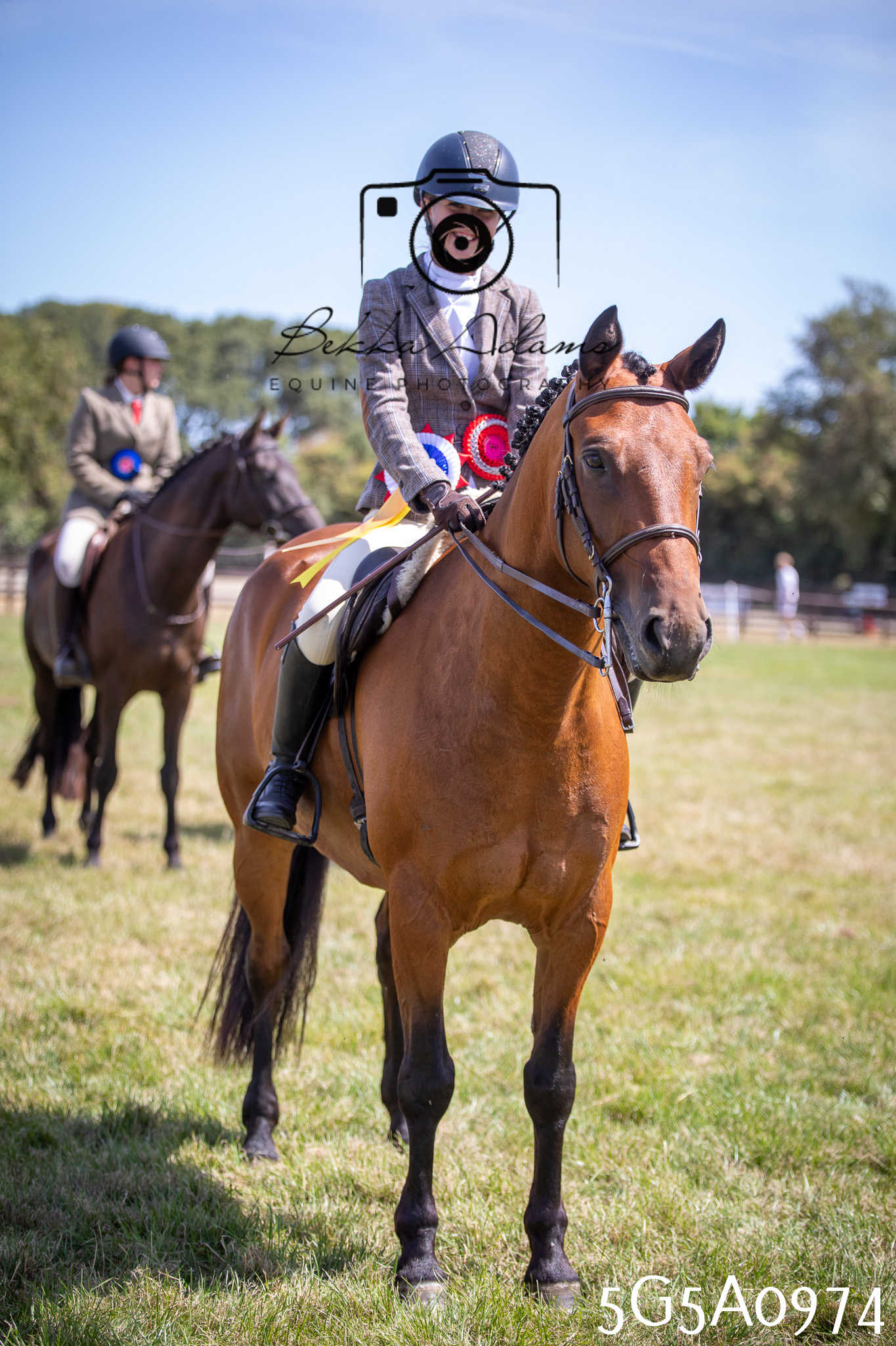St Lawrence Charity Horse Show - Saturday pt2