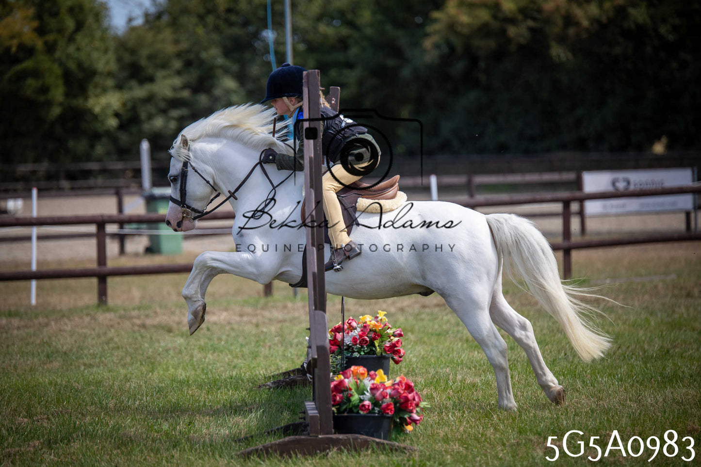 St Lawrence Charity Horse Show - Saturday pt2