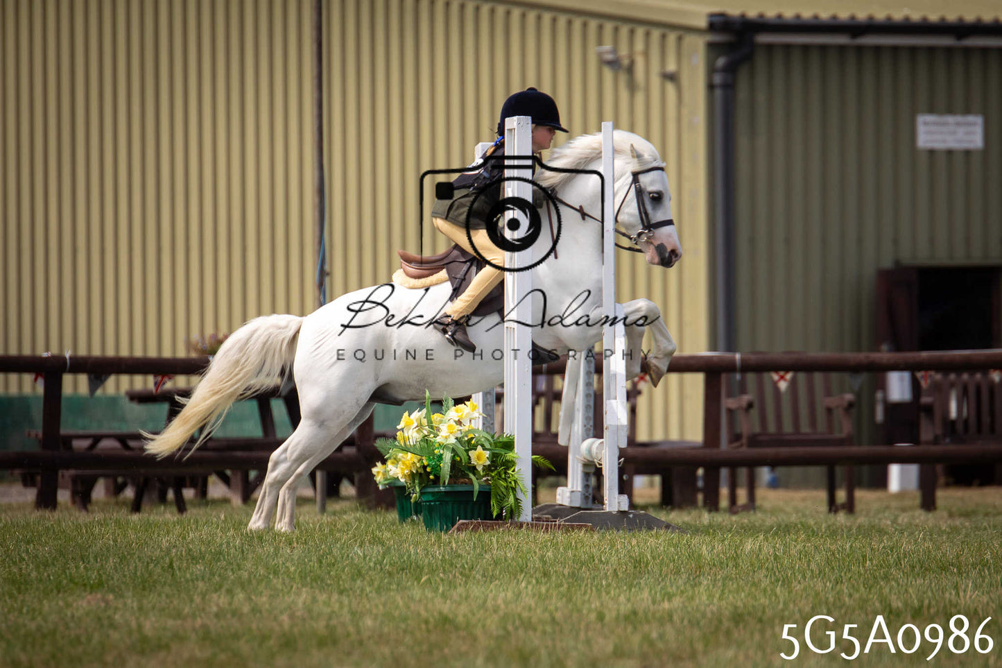 St Lawrence Charity Horse Show - Saturday pt2