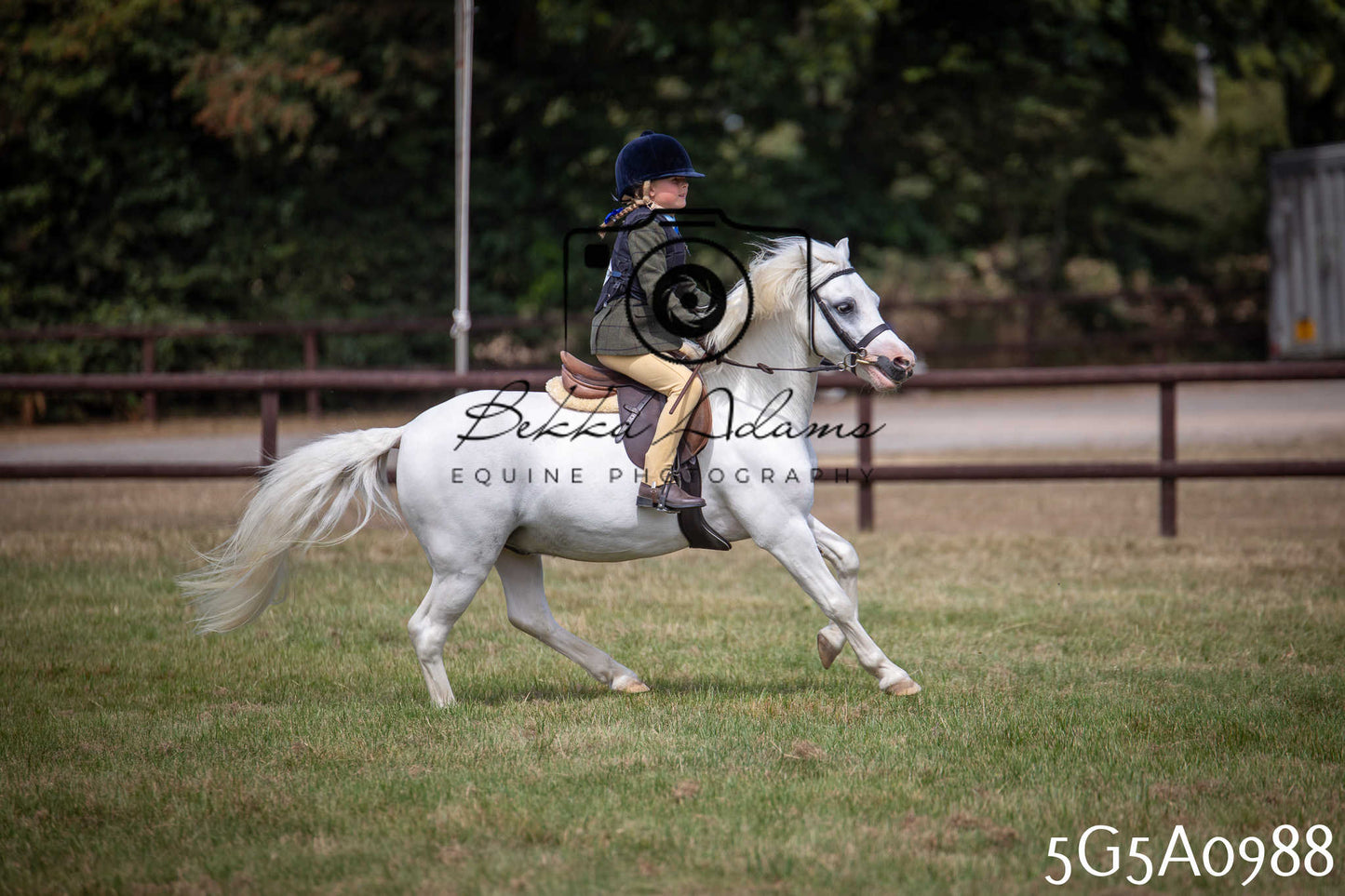 St Lawrence Charity Horse Show - Saturday pt2