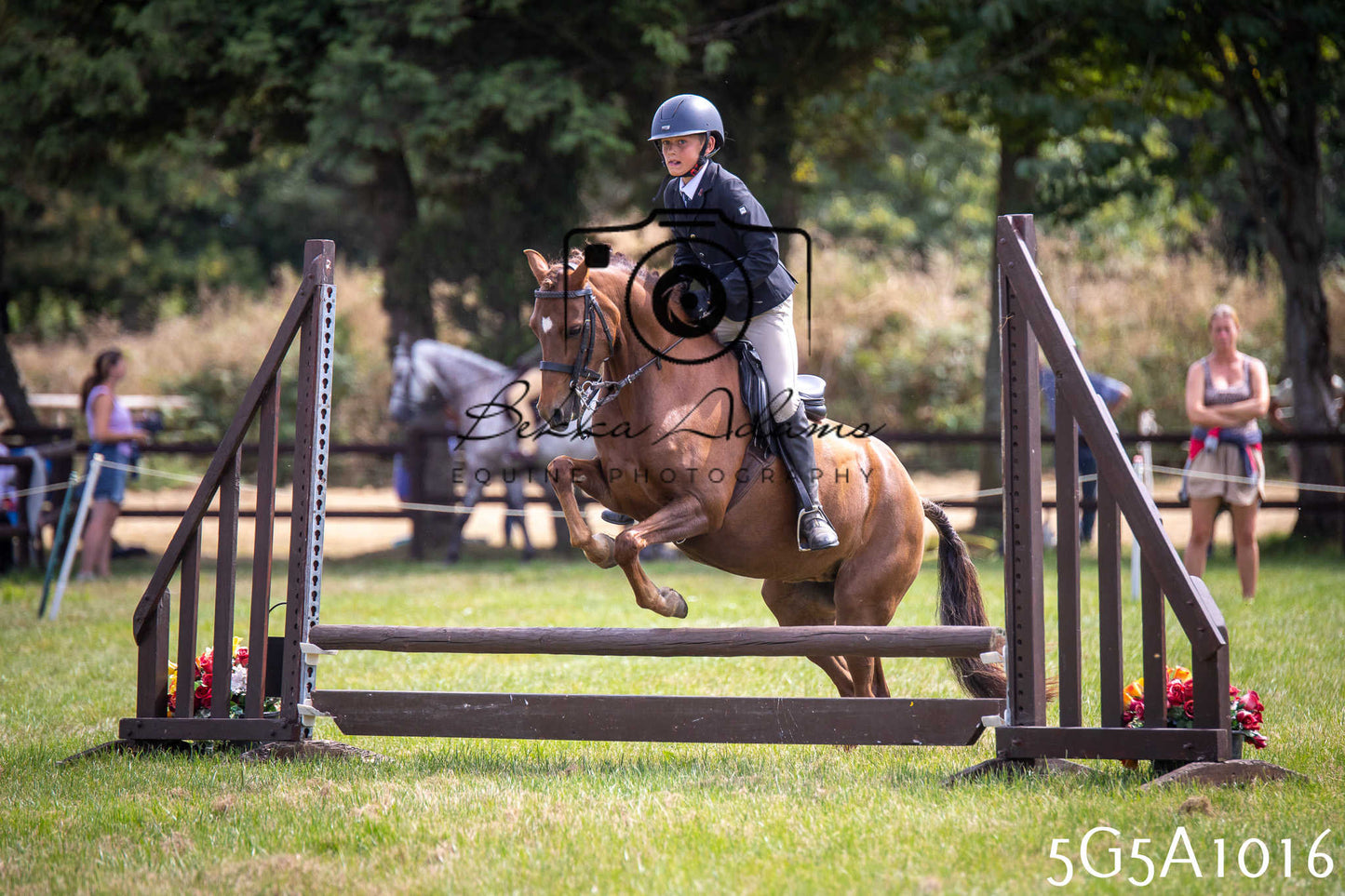 St Lawrence Charity Horse Show - Saturday pt2