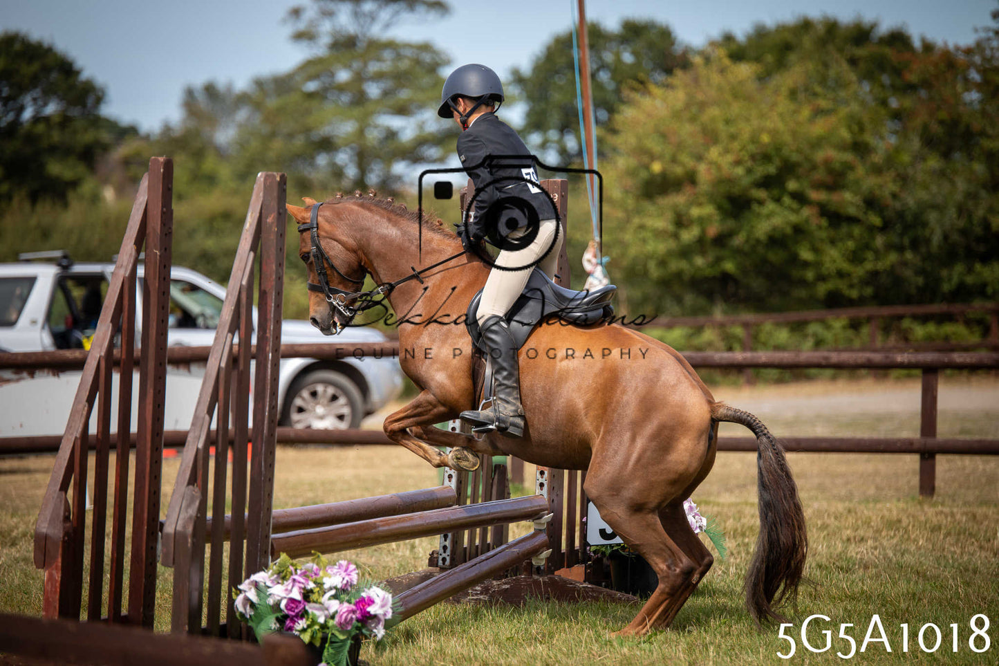 St Lawrence Charity Horse Show - Saturday pt2