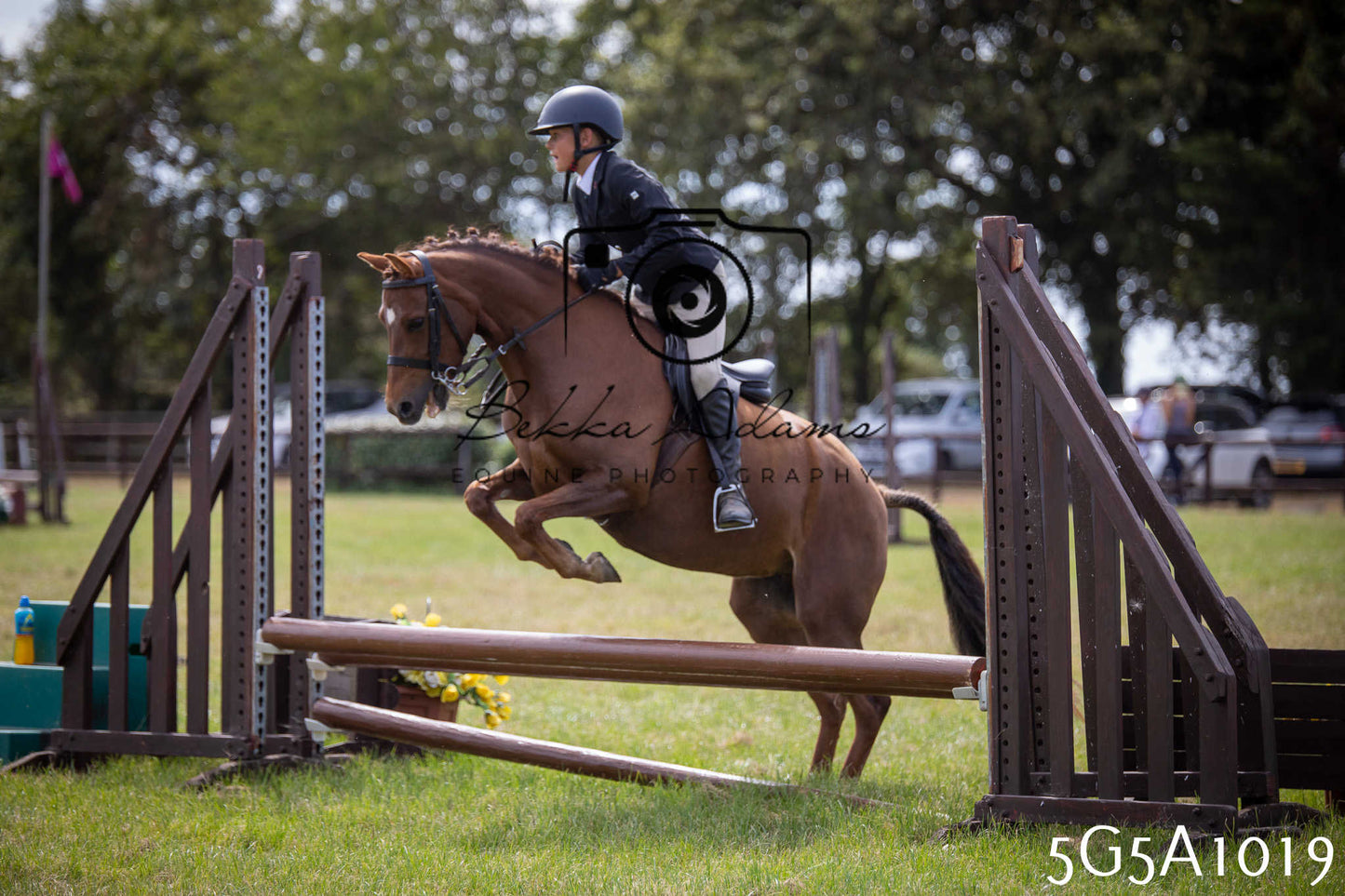 St Lawrence Charity Horse Show - Saturday pt2