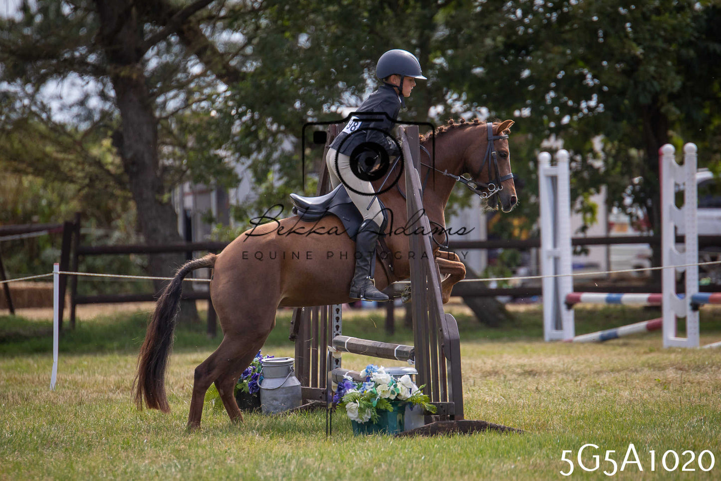 St Lawrence Charity Horse Show - Saturday pt2