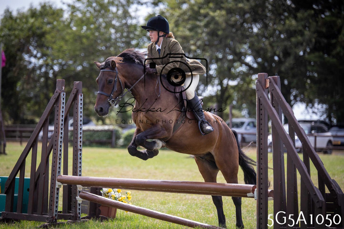 St Lawrence Charity Horse Show - Saturday pt2