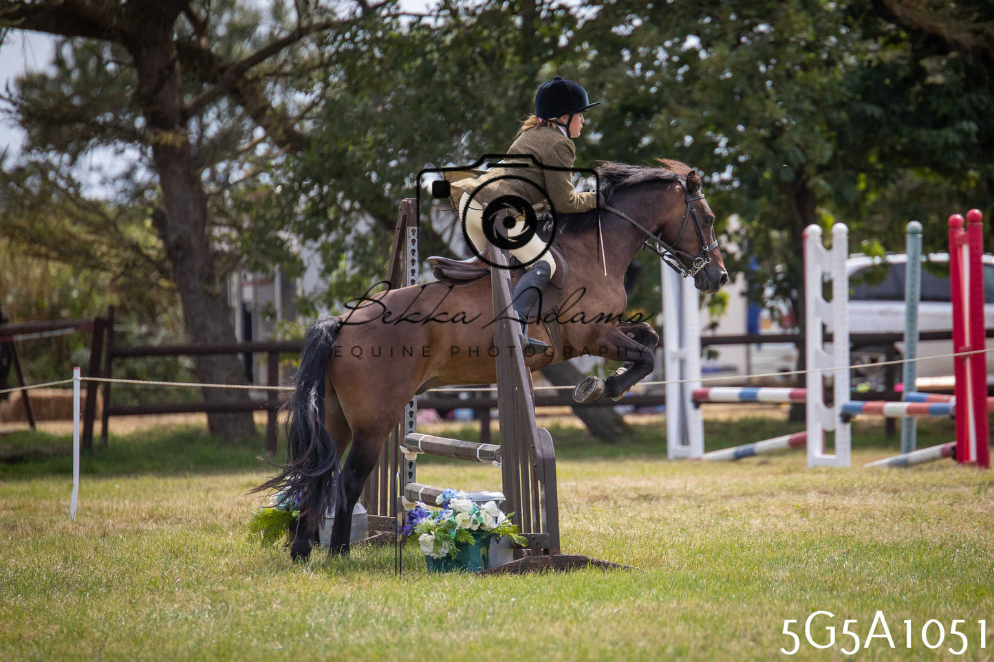 St Lawrence Charity Horse Show - Saturday pt2