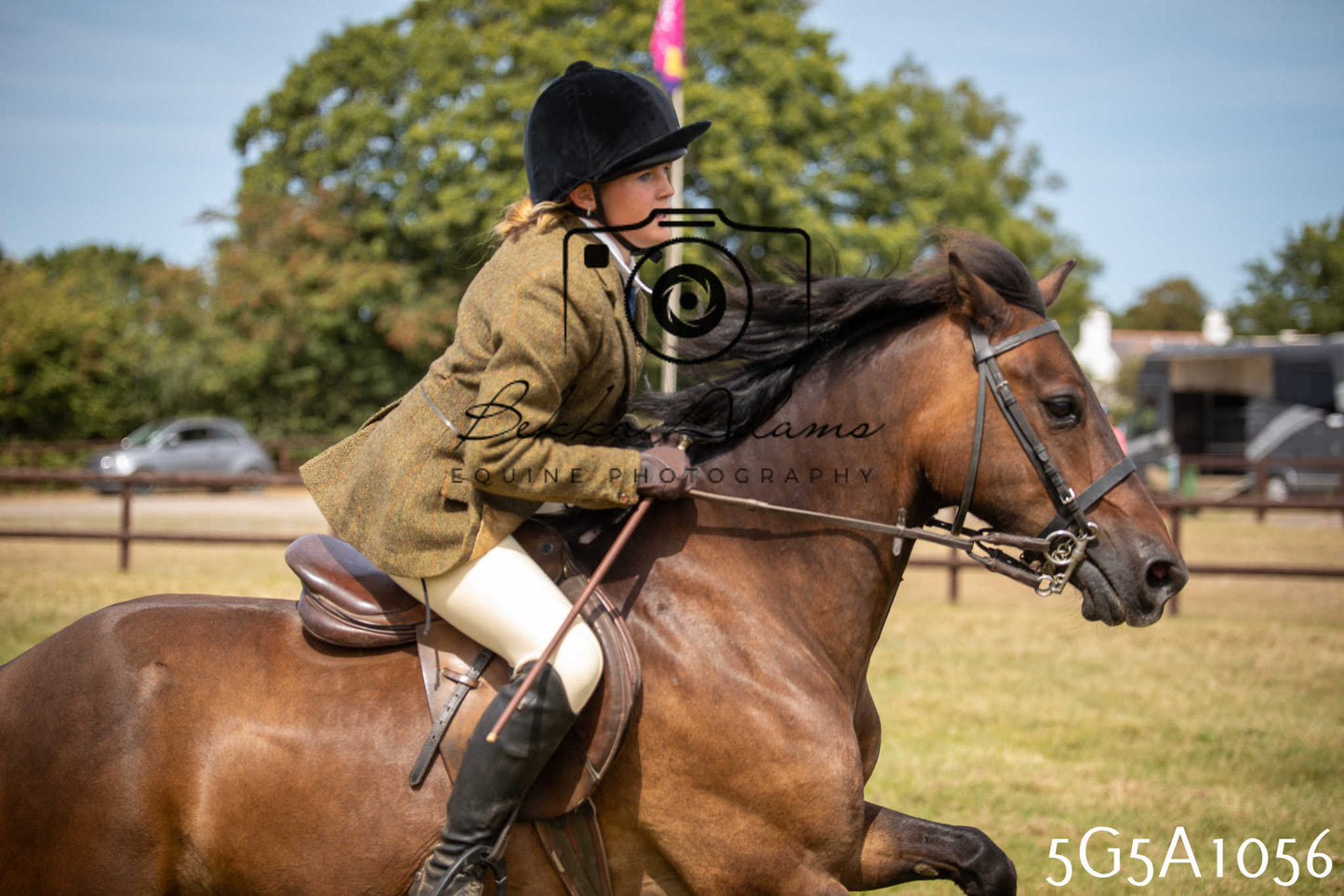 St Lawrence Charity Horse Show - Saturday pt2