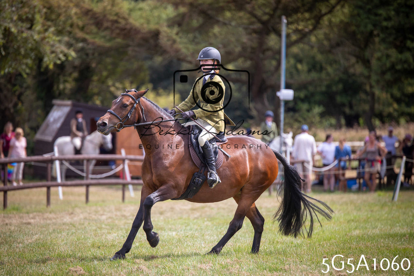 St Lawrence Charity Horse Show - Saturday pt2